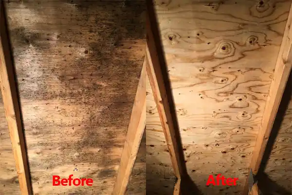water damage restoration service Dorchester